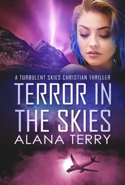 terror in the skies book cover image