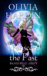 Transcend the Past synopsis, comments