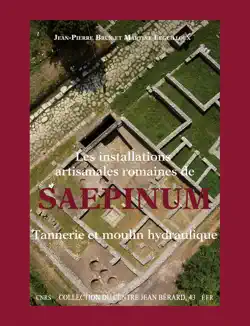 les installations artisanales romaines de saepinum book cover image