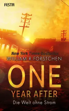 one year after - die welt ohne strom book cover image