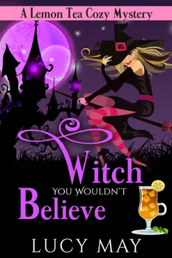 witch you wouldn't believe book cover image
