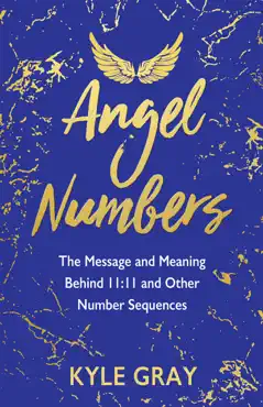 angel numbers book cover image