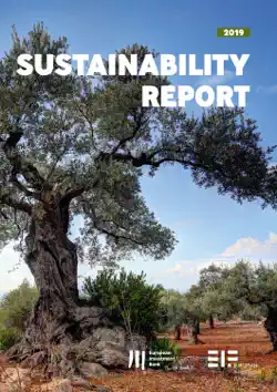 european investment bank group sustainability report 2019 book cover image