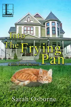 into the frying pan book cover image