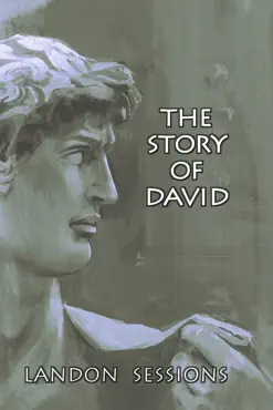 the story of david book cover image