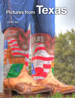 pictures from texas book cover image