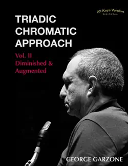 triadic chromatic approach vol. ii book cover image