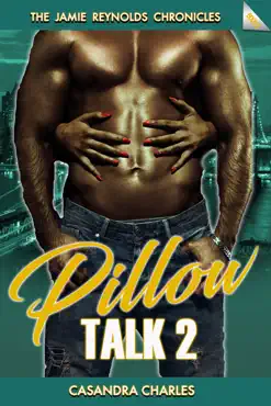 pillow talk 2 book cover image