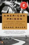 American Prison synopsis, comments