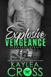 Explosive Vengeance synopsis, comments