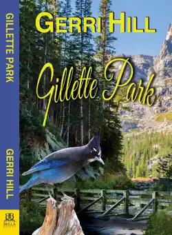 gillette park book cover image