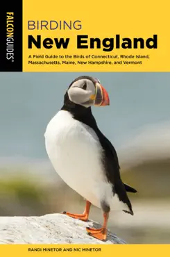 birding new england book cover image