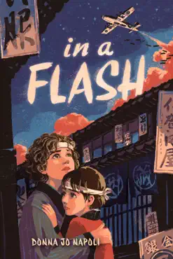 in a flash book cover image