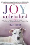 Joy Unleashed synopsis, comments