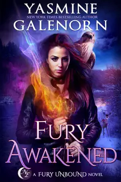 fury awakened book cover image