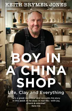 boy in a china shop book cover image