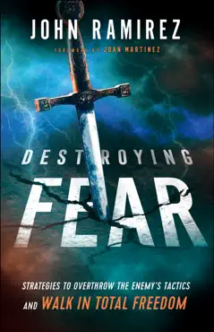 destroying fear book cover image