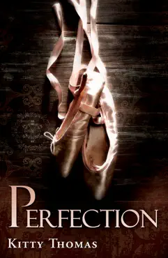 perfection book cover image