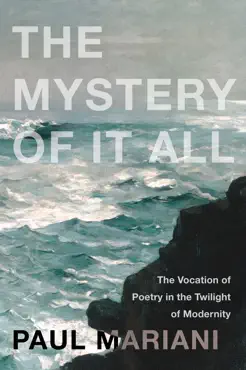 the mystery of it all book cover image