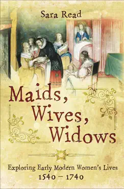 maids, wives, widows book cover image