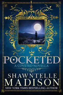 pocketed book cover image