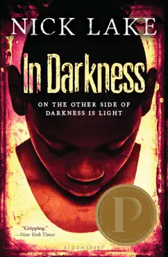 in darkness book cover image