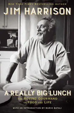 a really big lunch book cover image