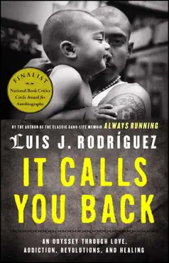 it calls you back book cover image