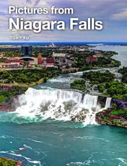pictures from niagara falls book cover image