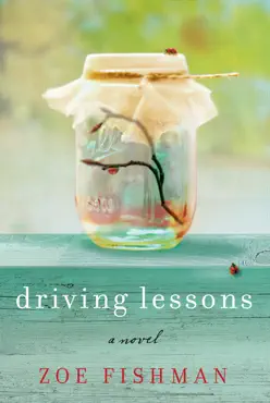 driving lessons book cover image