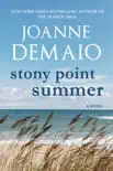 Stony Point Summer synopsis, comments