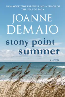 stony point summer book cover image