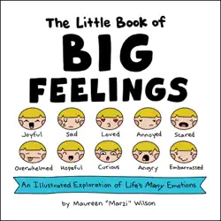the little book of big feelings book cover image