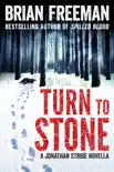Turn to Stone synopsis, comments