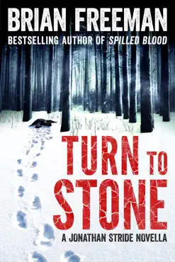 turn to stone book cover image