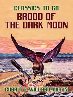 brood of the dark book cover image