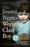 Working Class Boy synopsis, comments