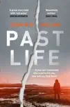 Past Life synopsis, comments