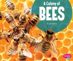 a colony of bees book cover image