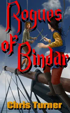 rogues of bindar book cover image