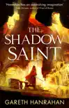 The Shadow Saint sinopsis y comentarios
