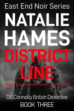 district line - ds connolly - book three book cover image