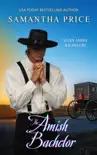 The Amish Bachelor synopsis, comments