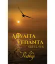 Advaita Vedanta synopsis, comments