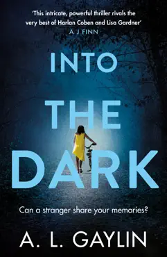 into the dark imagen de la portada del libro