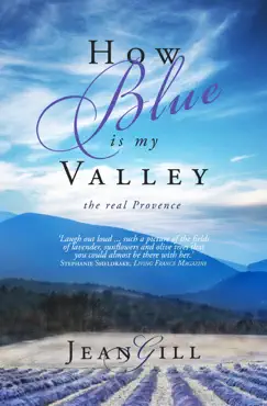 how blue is my valley book cover image