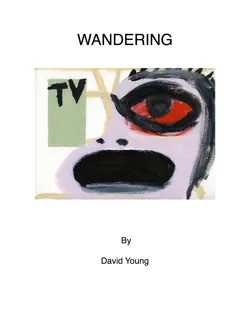 wandering book cover image
