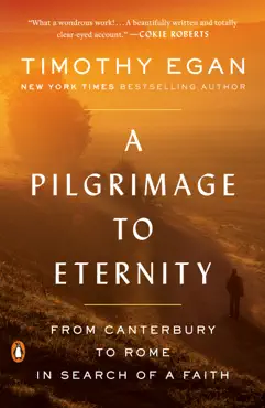 a pilgrimage to eternity book cover image