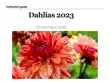 Dahlias synopsis, comments