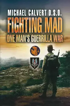 fighting mad book cover image